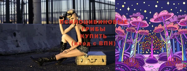 а пвп мука Абаза