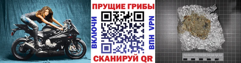 где продают МЕГА ссылки Галлюциногенные грибы мухоморы Нестеровская